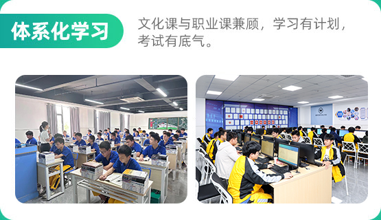 新华单招
